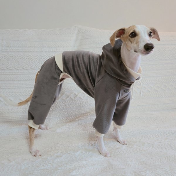 画像19: イタグレ服  S M L XL 2XL 3XL コーデュロイ パーカー リブ地   ロンパース つなぎ 小型犬 中型犬 大型犬 春 秋 冬服 doggystar ドッギースター  即日発送できます。 (19)