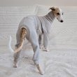 画像12: イタグレ服 S M L XL 2XL 3XL ピーチ 無地 長袖 ロンパース つなぎ 小型犬 中型犬 大型犬 春  秋 冬 doggystar ドッギースター 10/14より発送出来ます (12)