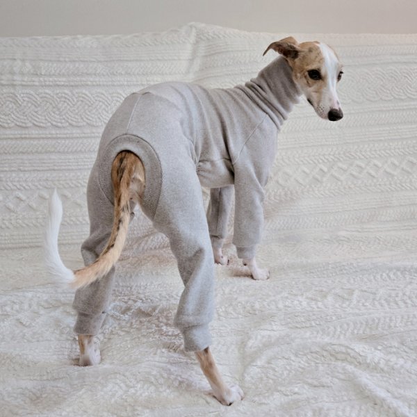 画像17: イタグレ服 S M L XL 2XL 3XL ピーチ 無地 長袖 ロンパース つなぎ 小型犬 中型犬 大型犬 春  秋 冬 doggystar ドッギースター 即日発送出来ます (17)