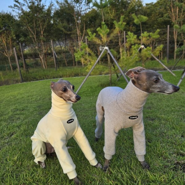 画像20: イタグレ服 S M L XL 2XL 3XL ピーチ 無地 長袖 ロンパース つなぎ 小型犬 中型犬 大型犬 春  秋 冬 doggystar ドッギースター 即日発送出来ます (20)