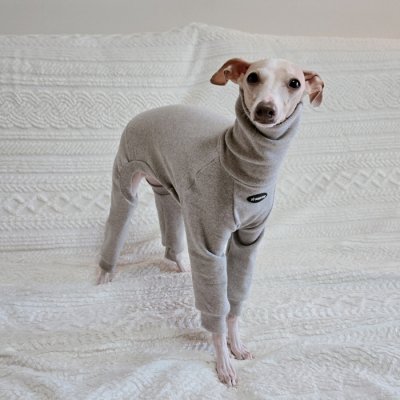 画像2: イタグレ服 S M L XL 2XL 3XL ピーチ 無地 長袖 ロンパース つなぎ 小型犬 中型犬 大型犬 春  秋 冬 doggystar ドッギースター 10/14より発送出来ます
