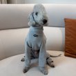 画像13: イタグレ服 S M L XL 2XL 3XL ピーチ 無地 長袖 ロンパース つなぎ 小型犬 中型犬 大型犬 春  秋 冬 doggystar ドッギースター 10/14より発送出来ます (13)