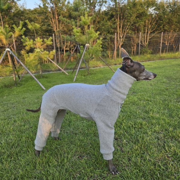 画像19: イタグレ服 S M L XL 2XL 3XL ピーチ 無地 長袖 ロンパース つなぎ 小型犬 中型犬 大型犬 春  秋 冬 doggystar ドッギースター 即日発送出来ます (19)