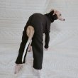 画像17: イタグレ服 S M L XL 2XL 3XL ピーチ 無地 長袖 ロンパース つなぎ 小型犬 中型犬 大型犬 春  秋 冬 doggystar ドッギースター 10/14より発送出来ます (17)