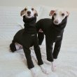 画像16: イタグレ服 S M L XL 2XL 3XL ピーチ 無地 長袖 ロンパース つなぎ 小型犬 中型犬 大型犬 春  秋 冬 doggystar ドッギースター 10/14より発送出来ます (16)