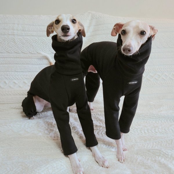 画像24: イタグレ服 S M L XL 2XL 3XL ピーチ 無地 長袖 ロンパース つなぎ 小型犬 中型犬 大型犬 春  秋 冬 doggystar ドッギースター 即日発送出来ます (24)