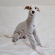 画像11: イタグレ服 S M L XL 2XL 3XL ピーチ 無地 長袖 ロンパース つなぎ 小型犬 中型犬 大型犬 春  秋 冬 doggystar ドッギースター 10/14より発送出来ます (11)