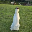 画像7: イタグレ服 S M L XL 2XL 3XL ピーチ 無地 長袖 ロンパース つなぎ 小型犬 中型犬 大型犬 春  秋 冬 doggystar ドッギースター 10/14より発送出来ます (7)