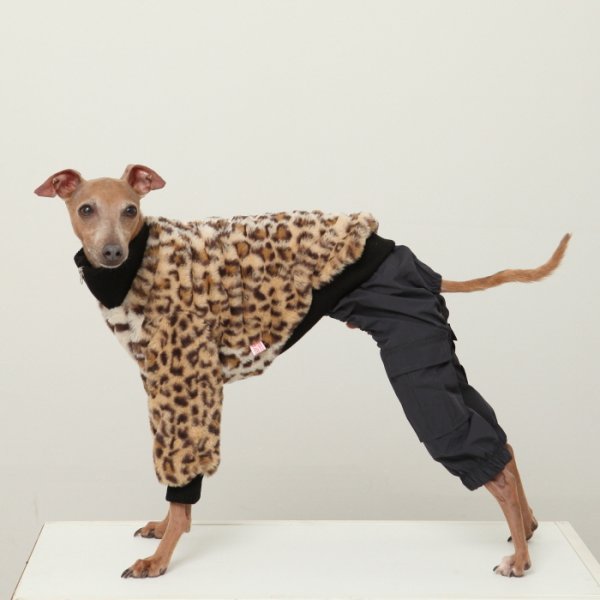 画像3: イタグレ服 S M L XL 2XL 3XL ファスナー 長袖 ファージャンパー 小型犬 中型犬 大型犬 秋 冬服 doggystar ドッギースター 即日発送出来ます (3)