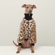 画像6: イタグレ服 S M L XL 2XL 3XL ファスナー 長袖 ファージャンパー 小型犬 中型犬 大型犬 秋 冬服 doggystar ドッギースター 10/22発送出来ます (6)