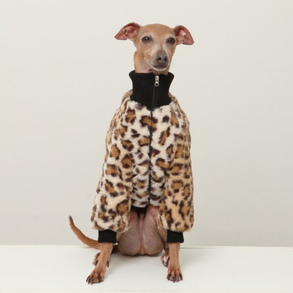 画像7: イタグレ服 S M L XL 2XL 3XL ファスナー 長袖 ファージャンパー 小型犬 中型犬 大型犬 秋 冬服 doggystar ドッギースター 即日発送出来ます (7)