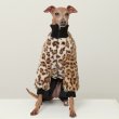 画像3: イタグレ服 S M L XL 2XL 3XL ファスナー 長袖 ファージャンパー 小型犬 中型犬 大型犬 秋 冬服 doggystar ドッギースター 10/22発送出来ます (3)