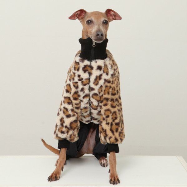 画像4: イタグレ服 S M L XL 2XL 3XL ファスナー 長袖 ファージャンパー 小型犬 中型犬 大型犬 秋 冬服 doggystar ドッギースター 即日発送出来ます (4)