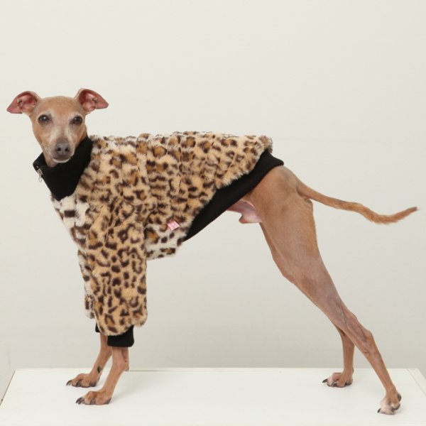 画像6: イタグレ服 S M L XL 2XL 3XL ファスナー 長袖 ファージャンパー 小型犬 中型犬 大型犬 秋 冬服 doggystar ドッギースター 即日発送出来ます (6)