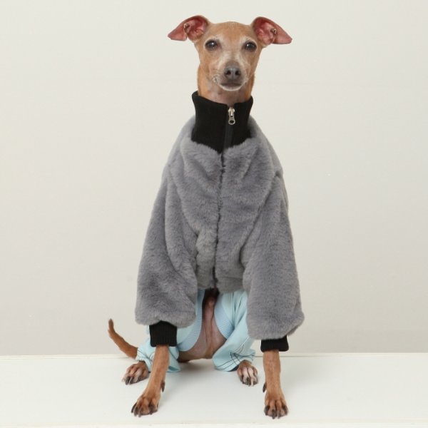 画像15: イタグレ服 S M L XL 2XL 3XL ファスナー 長袖 ファージャンパー 小型犬 中型犬 大型犬 秋 冬服 doggystar ドッギースター 即日発送出来ます (15)