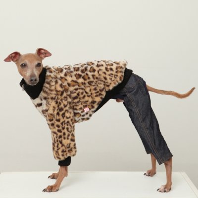 画像1: イタグレ服 S M L XL 2XL 3XL ファスナー 長袖 ファージャンパー 小型犬 中型犬 大型犬 秋 冬服 doggystar ドッギースター 10/22発送出来ます