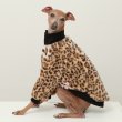 画像7: イタグレ服 S M L XL 2XL 3XL ファスナー 長袖 ファージャンパー 小型犬 中型犬 大型犬 秋 冬服 doggystar ドッギースター 10/22発送出来ます (7)