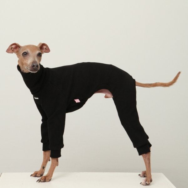 画像21: イタグレ服 S M L XL 2XL 3XL ピーチ 無地 長袖 ロンパース つなぎ 小型犬 中型犬 大型犬 春  秋 冬 doggystar ドッギースター 即日発送出来ます (21)