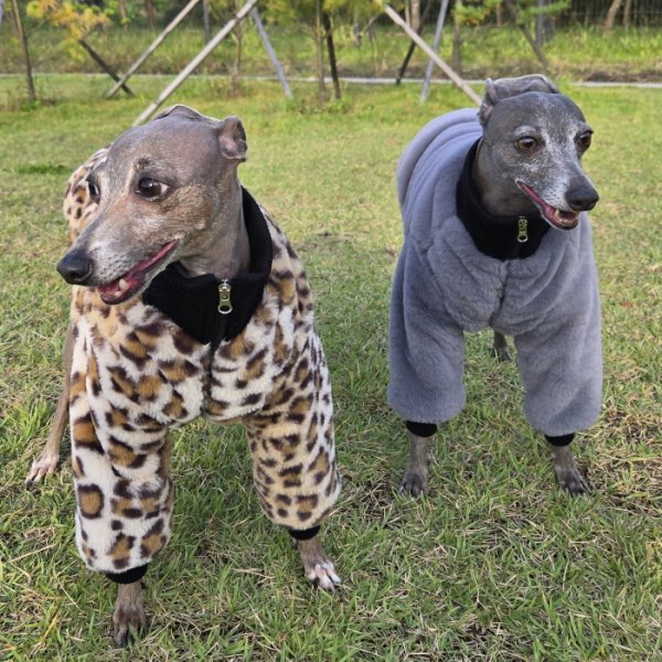 画像12: イタグレ服 S M L XL 2XL 3XL ファスナー 長袖 ファージャンパー 小型犬 中型犬 大型犬 秋 冬服 doggystar ドッギースター 即日発送出来ます (12)