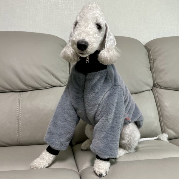 画像20: イタグレ服 S M L XL 2XL 3XL ファスナー 長袖 ファージャンパー 小型犬 中型犬 大型犬 秋 冬服 doggystar ドッギースター 即日発送出来ます (20)