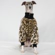 画像10: イタグレ服 S M L XL 2XL 3XL ファスナー 長袖 ファージャンパー 小型犬 中型犬 大型犬 秋 冬服 doggystar ドッギースター 即日発送出来ます (10)