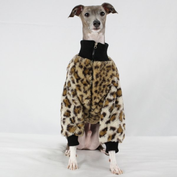 画像10: イタグレ服 S M L XL 2XL 3XL ファスナー 長袖 ファージャンパー 小型犬 中型犬 大型犬 秋 冬服 doggystar ドッギースター 即日発送出来ます (10)