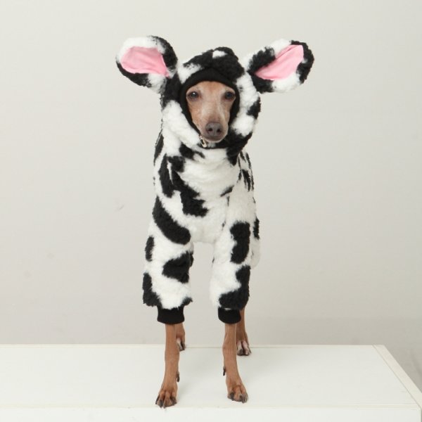 画像3: イタグレ服 S M L XL 2XL 3XL ウシさん フリース ロンパース つなぎ 小型犬 中型犬 大型犬 冬服 韓国犬服 doggystar ドッギースター 1/15より致します (3)