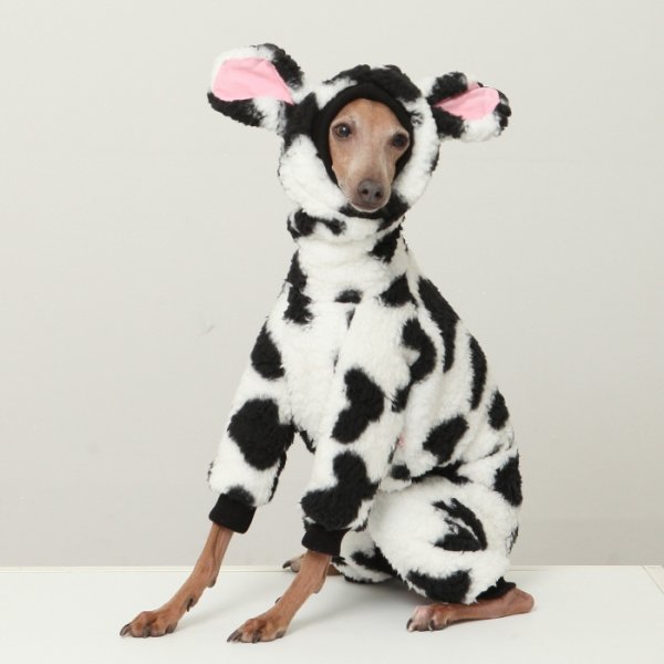 画像2: イタグレ服 S M L XL 2XL 3XL ウシさん フリース ロンパース つなぎ 小型犬 中型犬 大型犬 冬服 韓国犬服 doggystar ドッギースター 1/15より致します (2)