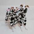 画像8: イタグレ服 S M L XL 2XL 3XL ウシさん フリース ロンパース つなぎ 小型犬 中型犬 大型犬 冬服 韓国犬服 doggystar ドッギースター 1/15より致します (8)