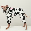 画像5: イタグレ服 S M L XL 2XL 3XL ウシさん フリース ロンパース つなぎ 小型犬 中型犬 大型犬 冬服 韓国犬服 doggystar ドッギースター 1/15より致します (5)