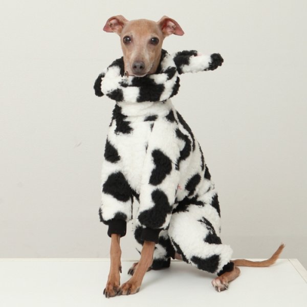 画像4: イタグレ服 S M L XL 2XL 3XL ウシさん フリース ロンパース つなぎ 小型犬 中型犬 大型犬 冬服 韓国犬服 doggystar ドッギースター 1/15より致します (4)