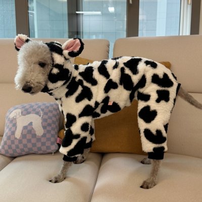 画像2: イタグレ服 S M L XL 2XL 3XL ウシさん フリース ロンパース つなぎ 小型犬 中型犬 大型犬 冬服 韓国犬服 doggystar ドッギースター 即日発送出来ます