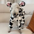 画像15: イタグレ服 S M L XL 2XL 3XL ウシさん フリース ロンパース つなぎ 小型犬 中型犬 大型犬 冬服 韓国犬服 doggystar ドッギースター 即日発送出来ます (15)
