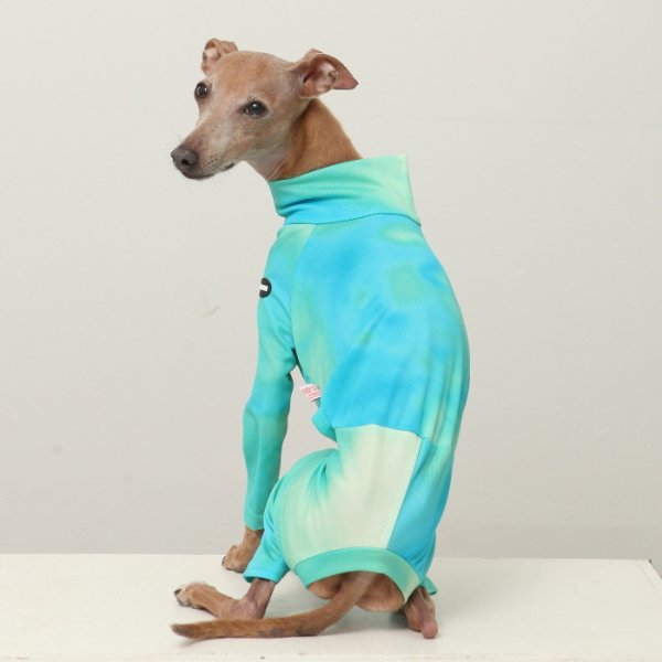 画像44: イタグレ服 S M L XL 2XL 3XL 接触冷感 蛍光 タイダイクール ロンパース つなぎ 小型犬 中型犬 大型犬 春夏 doggystar ドッギースター 即日発送出来ます (44)