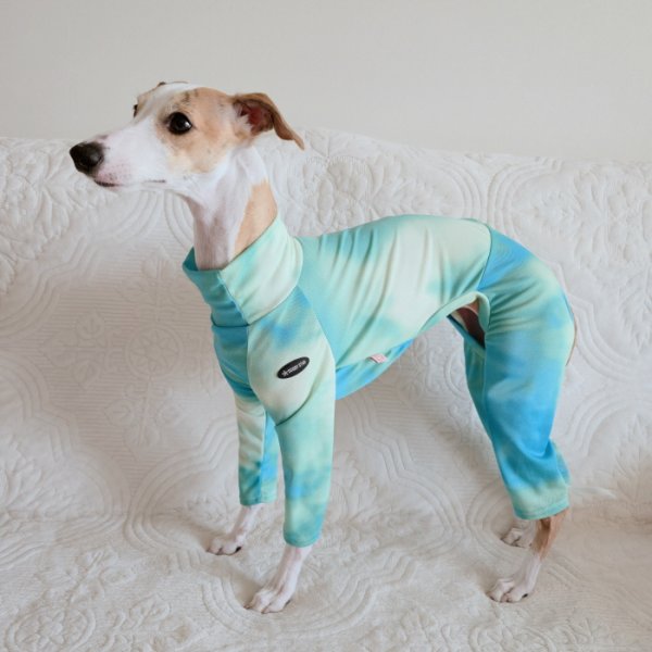 画像47: イタグレ服 S M L XL 2XL 3XL 接触冷感 蛍光 タイダイクール ロンパース つなぎ 小型犬 中型犬 大型犬 春夏 doggystar ドッギースター 即日発送出来ます (47)