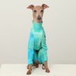 画像43: イタグレ服 S M L XL 2XL 3XL 接触冷感 蛍光 タイダイクール ロンパース つなぎ 小型犬 中型犬 大型犬 春夏 doggystar ドッギースター 即日発送出来ます (43)