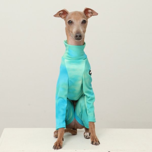 画像43: イタグレ服 S M L XL 2XL 3XL 接触冷感 蛍光 タイダイクール ロンパース つなぎ 小型犬 中型犬 大型犬 春夏 doggystar ドッギースター 即日発送出来ます (43)