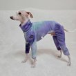 画像46: イタグレ服 S M L XL 2XL 3XL 接触冷感 蛍光 タイダイクール ロンパース つなぎ 小型犬 中型犬 大型犬 春夏 doggystar ドッギースター 即日発送出来ます (46)