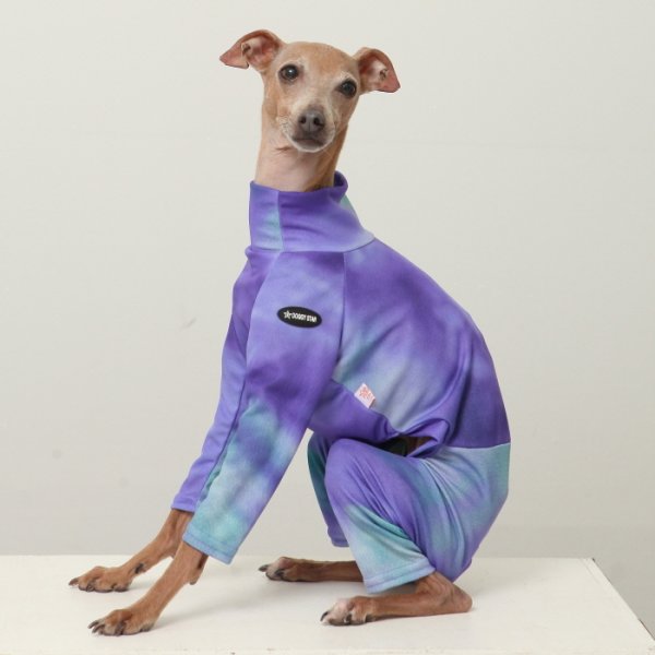 画像39: イタグレ服 S M L XL 2XL 3XL 接触冷感 蛍光 タイダイクール ロンパース つなぎ 小型犬 中型犬 大型犬 春夏 doggystar ドッギースター 即日発送出来ます (39)