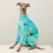 画像42: イタグレ服 S M L XL 2XL 3XL 接触冷感 蛍光 タイダイクール ロンパース つなぎ 小型犬 中型犬 大型犬 春夏 doggystar ドッギースター 即日発送出来ます (42)