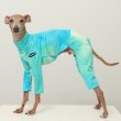 画像41: イタグレ服 S M L XL 2XL 3XL 接触冷感 蛍光 タイダイクール ロンパース つなぎ 小型犬 中型犬 大型犬 春夏 doggystar ドッギースター 即日発送出来ます (41)