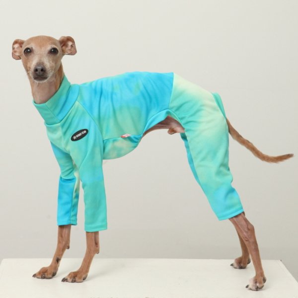 画像41: イタグレ服 S M L XL 2XL 3XL 接触冷感 蛍光 タイダイクール ロンパース つなぎ 小型犬 中型犬 大型犬 春夏 doggystar ドッギースター 即日発送出来ます (41)