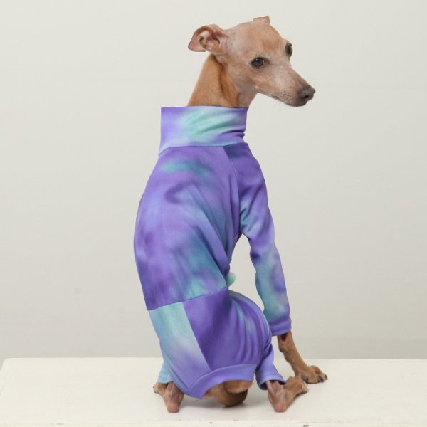 画像40: イタグレ服 S M L XL 2XL 3XL 接触冷感 蛍光 タイダイクール ロンパース つなぎ 小型犬 中型犬 大型犬 春夏 doggystar ドッギースター 即日発送出来ます (40)