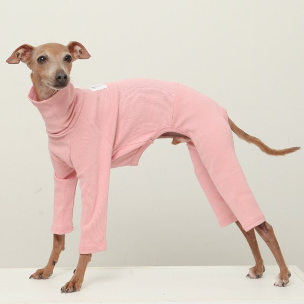 画像22: イタグレ服 S M L XL 2XL 3XL リブ地ロンパース つなぎ 小型犬 中型犬 大型犬 春 夏 秋 冬 doggystar ドッギースター 即日出荷出来ます (22)