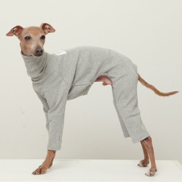 画像23: イタグレ服 S M L XL 2XL 3XL リブ地ロンパース つなぎ 小型犬 中型犬 大型犬 春 夏 秋 冬 doggystar ドッギースター 即日出荷出来ます (23)