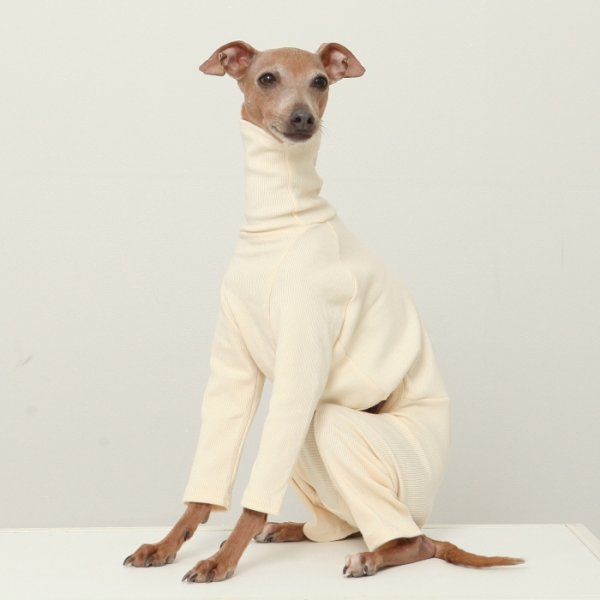 画像31: イタグレ服 S M L XL 2XL 3XL リブ地ロンパース つなぎ 小型犬 中型犬 大型犬 春 夏 秋 冬 doggystar ドッギースター 即日出荷出来ます (31)