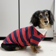画像11: ダックスフンド 服 ラガー半袖Ｔシャツ 小型犬 中型犬 S M L XL 春夏秋冬 ダックス おしゃれ 犬 洋服 doggystar ドッギースター 即日発送致します (11)