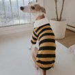 画像23: イタグレ服 S M L XL 2XL 3XL ラガー 半袖 Tシャツ  小型犬 中型犬 大型犬 春 秋 冬 犬服 doggystar ドッギースター 即日出荷出来ます (23)