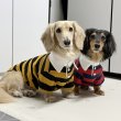 画像29: ダックスフンド 服 ラガー半袖Ｔシャツ 小型犬 中型犬 S M L XL 春夏秋冬 ダックス おしゃれ 犬 洋服 doggystar ドッギースター 即日発送致します (29)