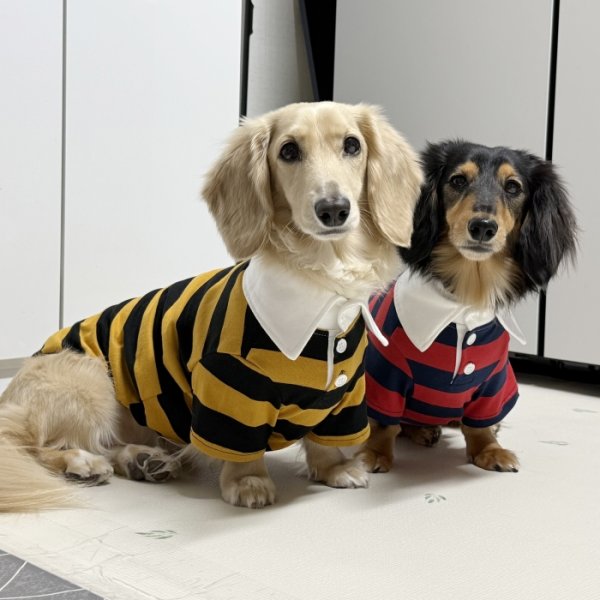 画像29: ダックスフンド 服 ラガー半袖Ｔシャツ 小型犬 中型犬 S M L XL 春夏秋冬 ダックス おしゃれ 犬 洋服 doggystar ドッギースター 即日発送致します (29)